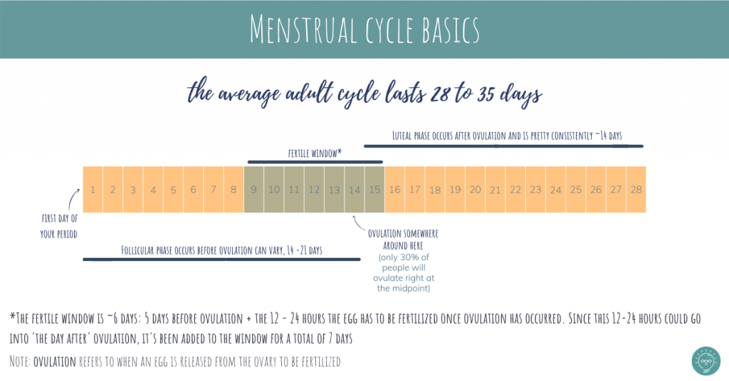 Fertility awareness: How to optimize fertility when planning pregnancy 4 4 menstrual cycle basics